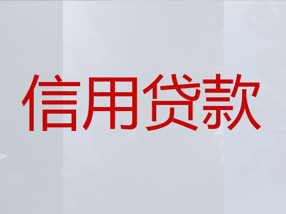 海安抵押担保贷款-银行信用贷款
